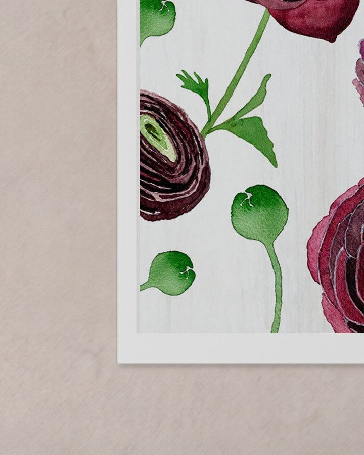 Corner of the unframed Black Ranunculus on Snow print, showing its white border against the wall