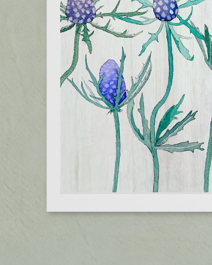 Corner of the unframed Purple Thistle on Snow print, showing its white border against the wall
