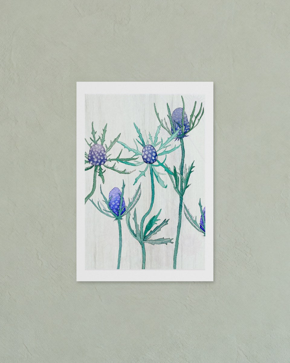 The whole unframed Purple Thistle on Snow print with its white border, flat against a plaster wall