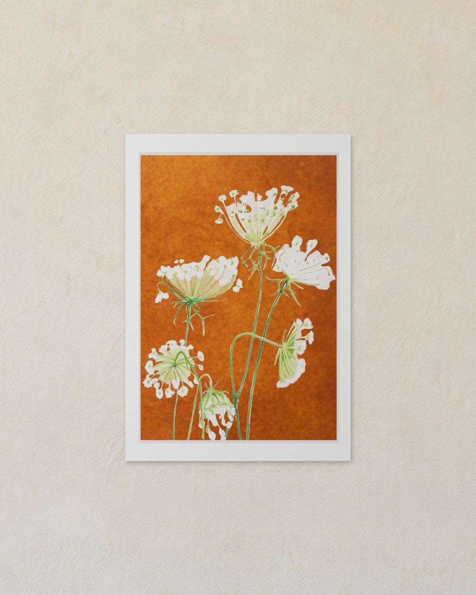 The whole unframed Queen Anne’s Lace on Rusty Orange print with its white border, flat against a plaster wall
