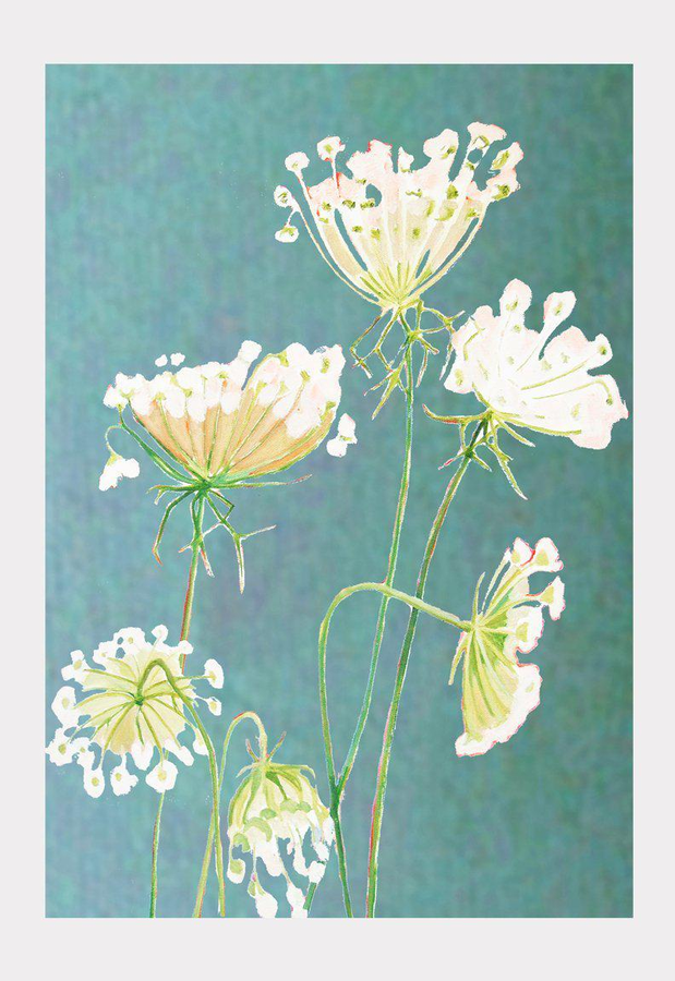 Art Print: Queen Anne's Lace on Teal