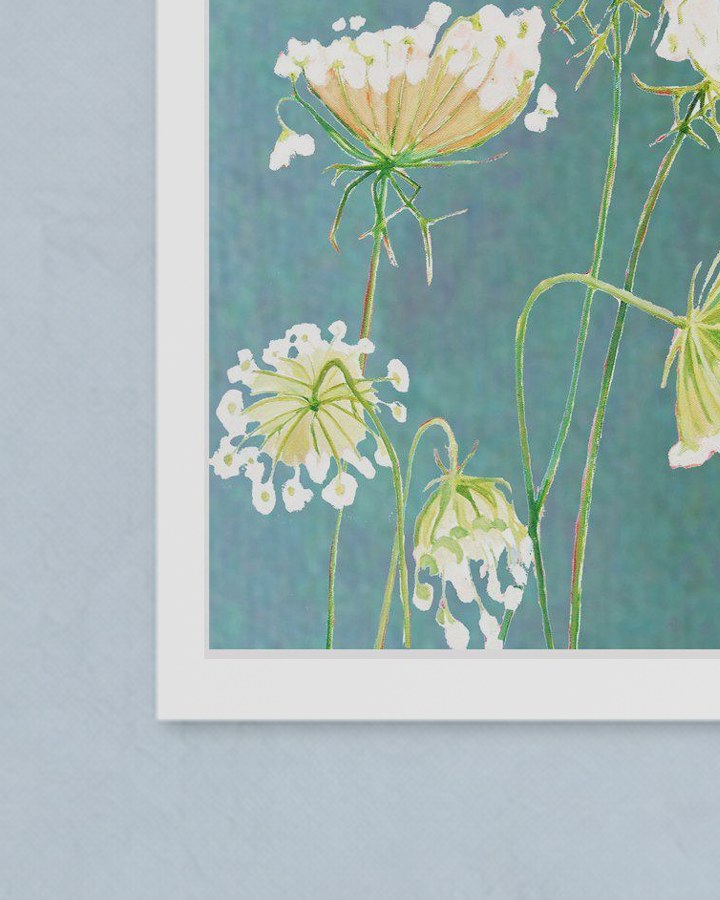 Corner of the unframed Queen Anne’s Lace on Teal print, showing its white border against the wall