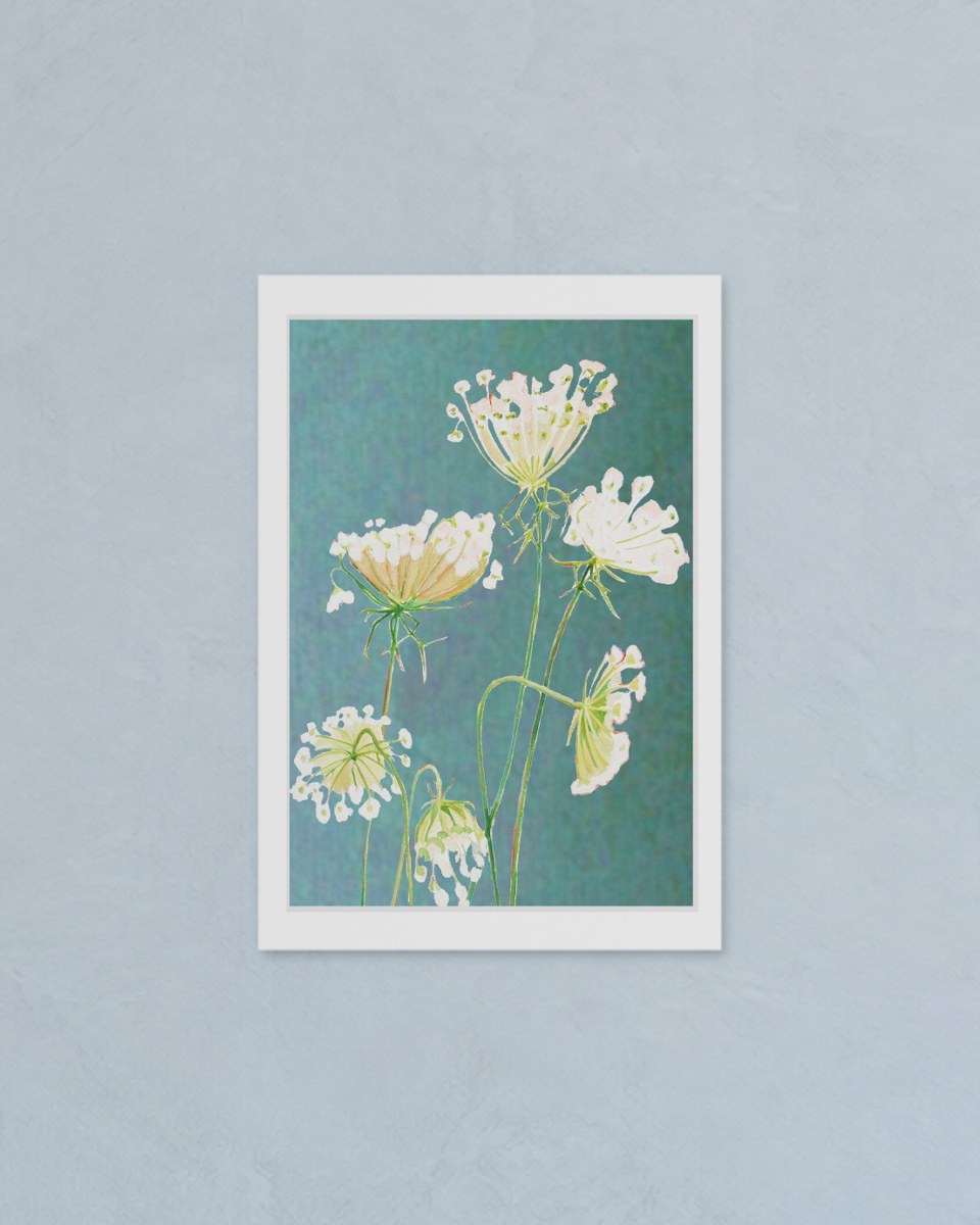 The whole unframed Queen Anne’s Lace on Teal print with its white border, flat against a plaster wall