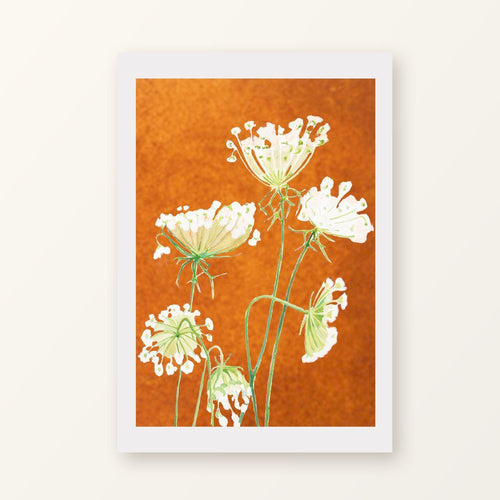 Queen Anne's Lace on Rusty Orange unframed art print with a white border, shown flat on a plain background