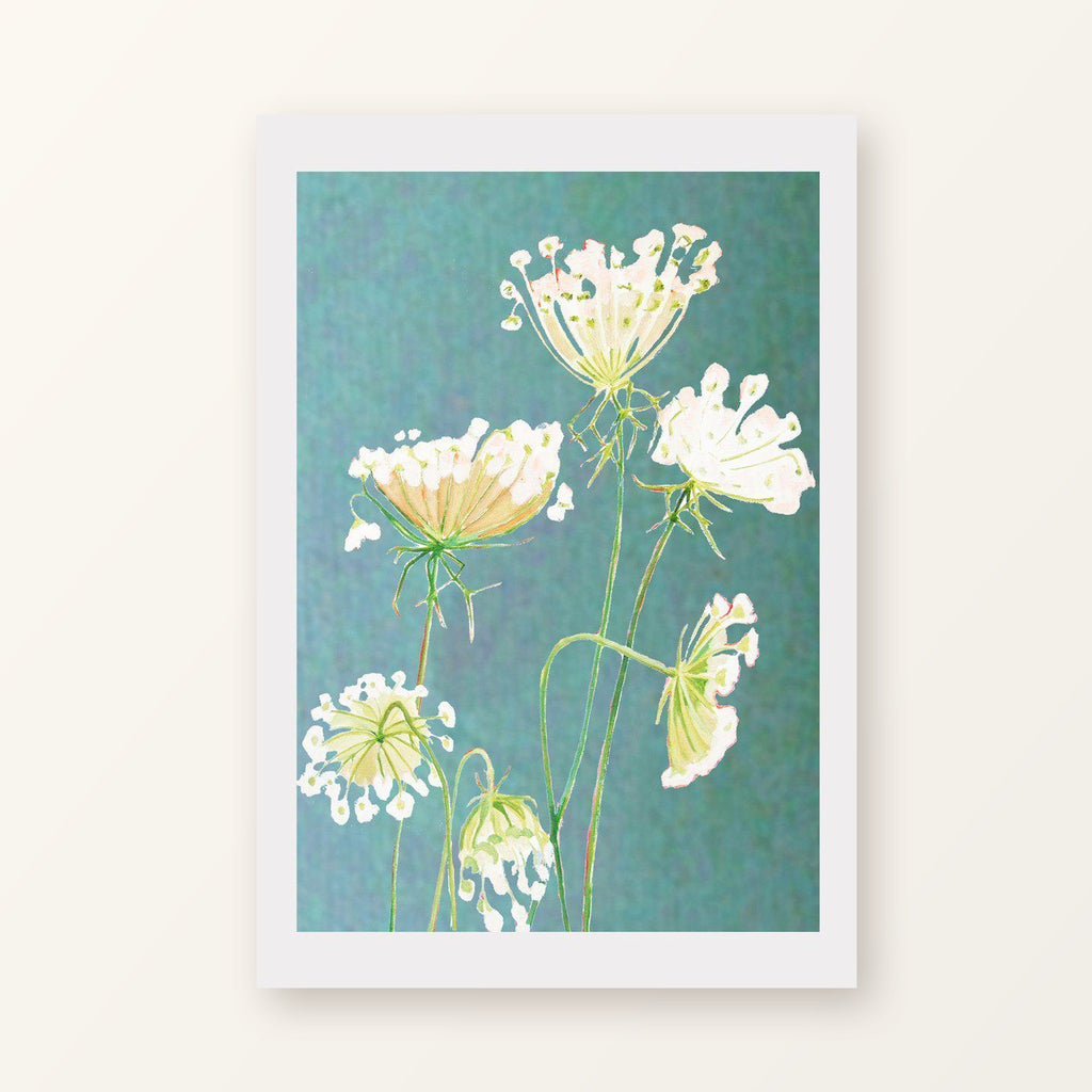 Queen Anne's Lace on Teal unframed art print with a white border, shown flat on a plain background
