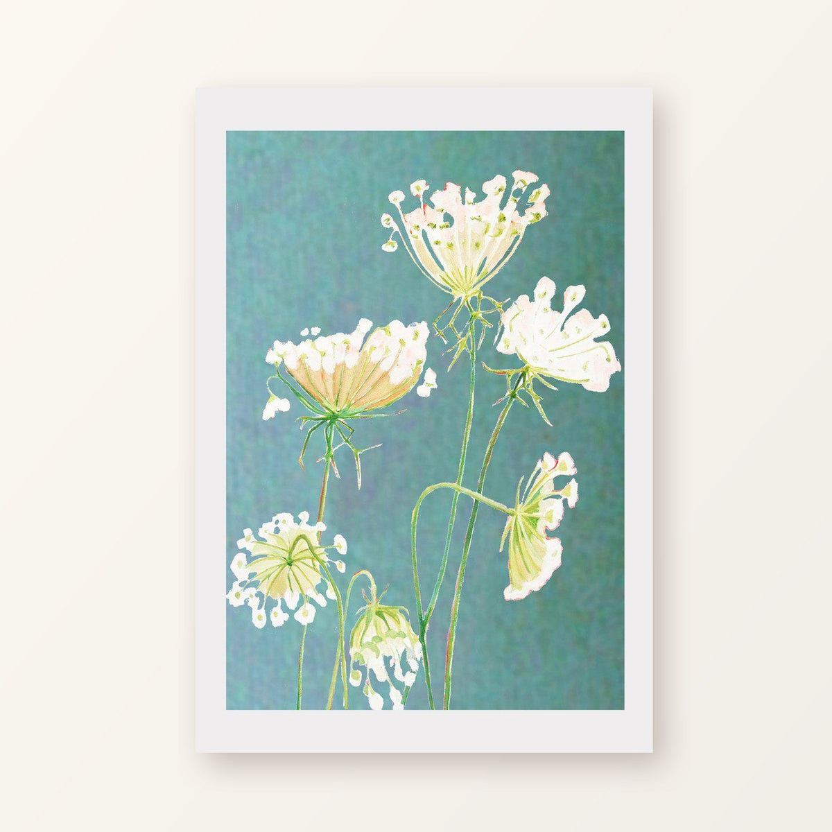 Queen Anne's Lace on Teal unframed art print with a white border, shown flat on a plain background